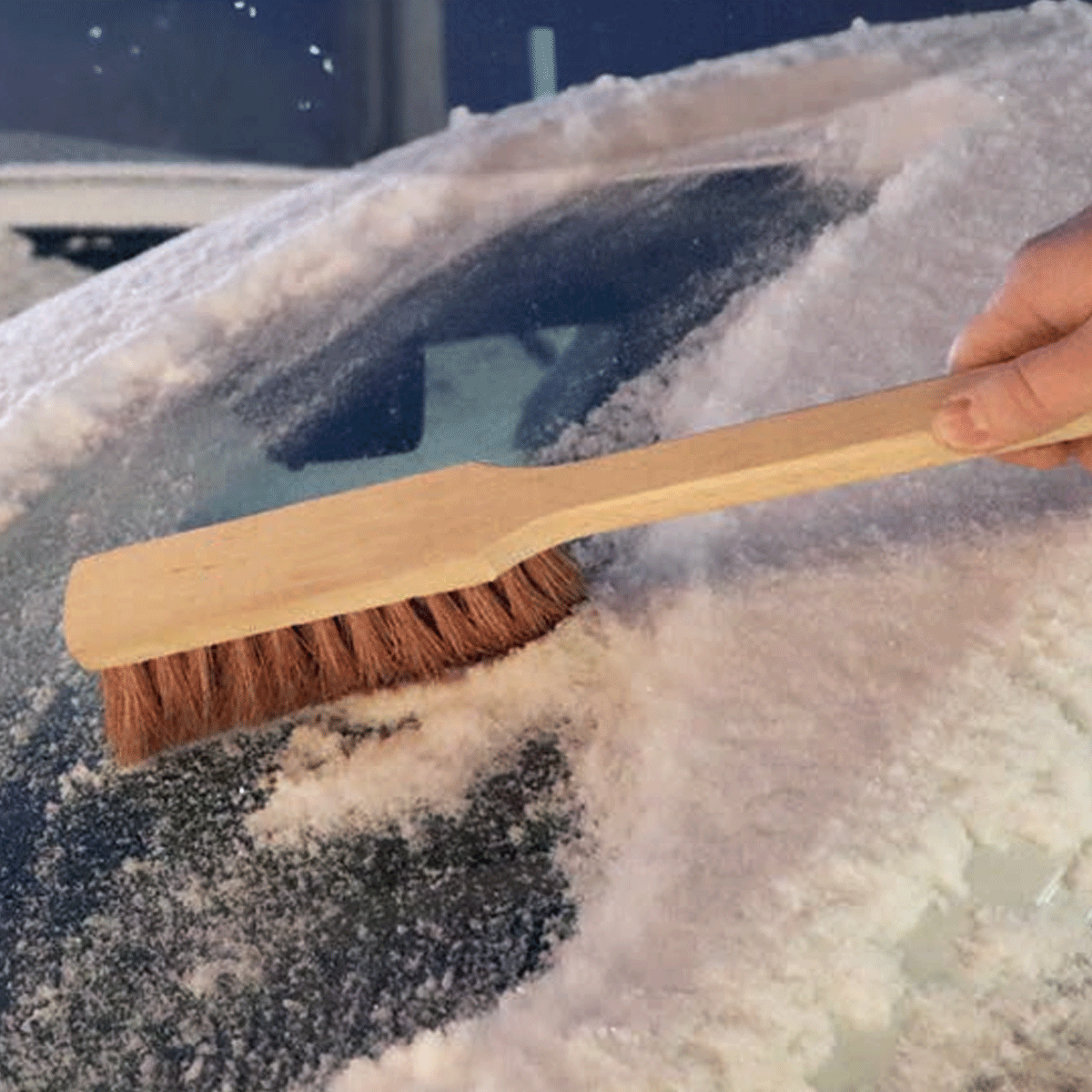 Snöborste Trä