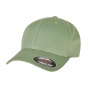 Flexfit Wooly Combed Cap 