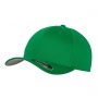 Flexfit Wooly Combed Cap 