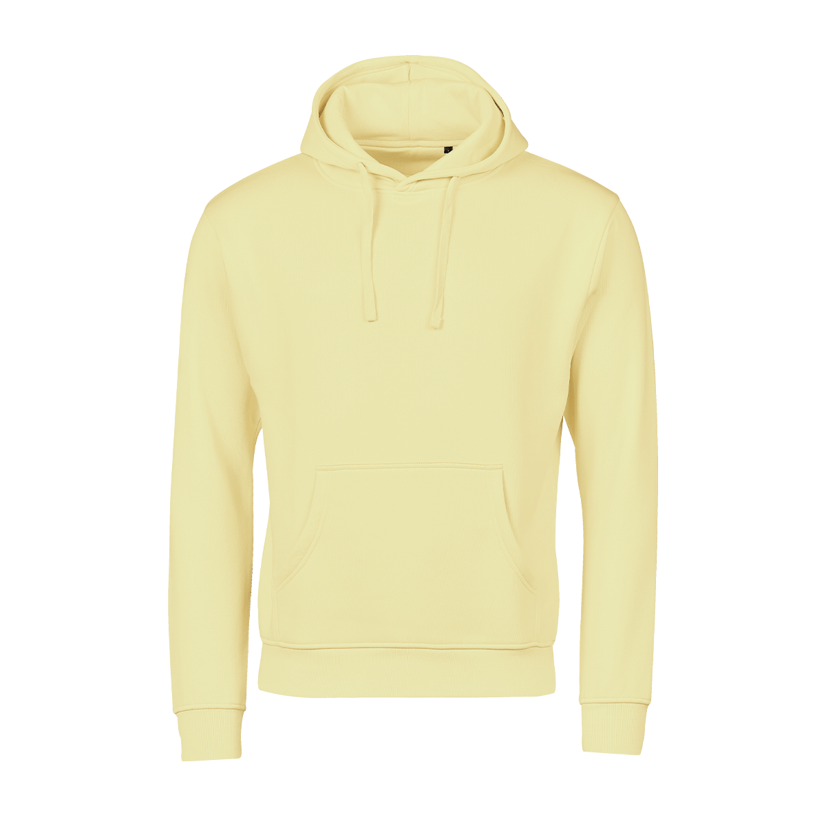 Unlabeled Hooded Sweatshirt