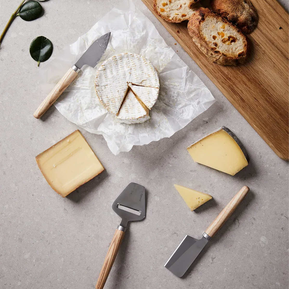Retro Cheese Set 