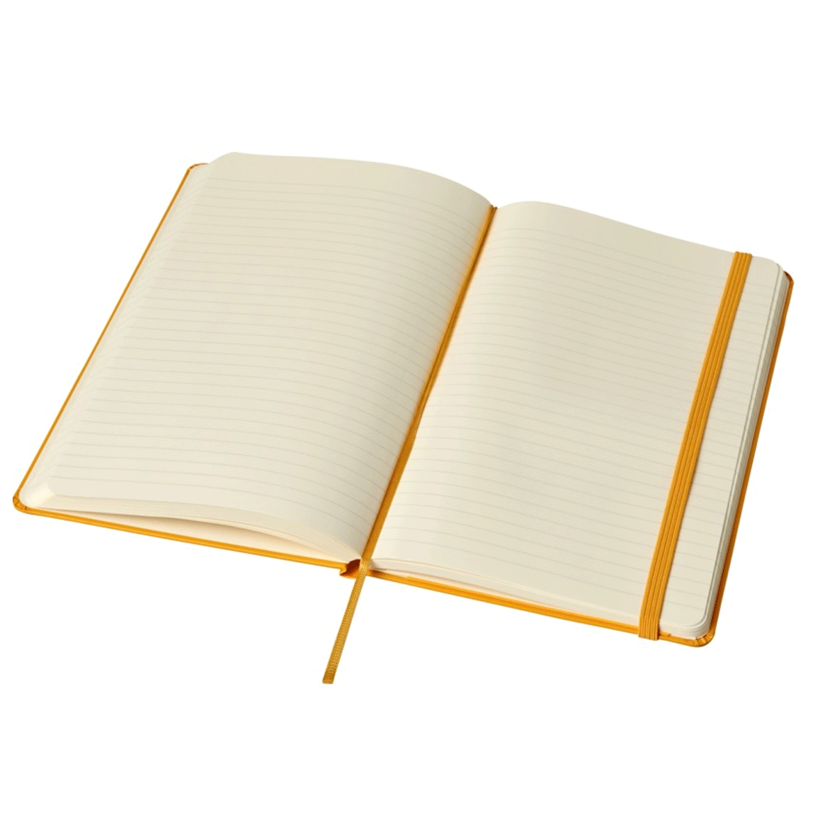 Anteckningsbok Moleskine Linjerad  