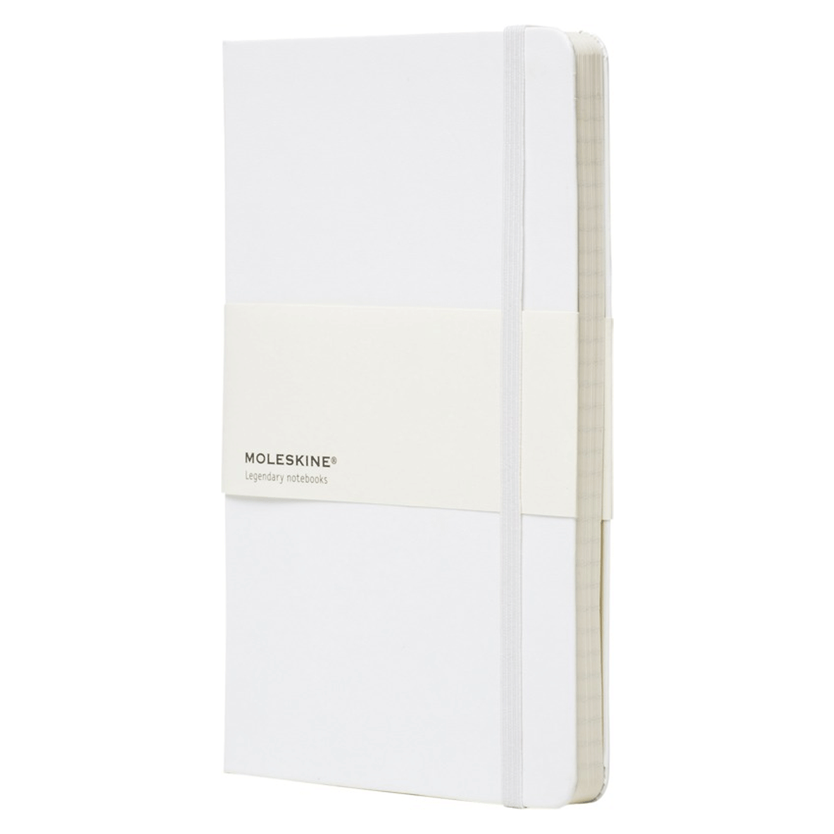 Anteckningsbok Moleskine Linjerad  