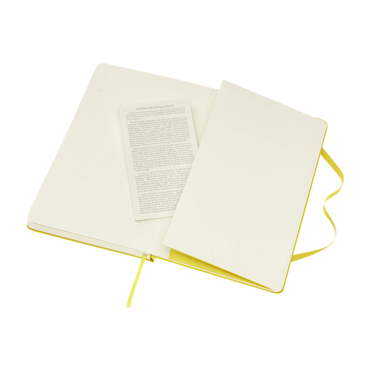 Anteckningsbok Moleskine Linjerad  
